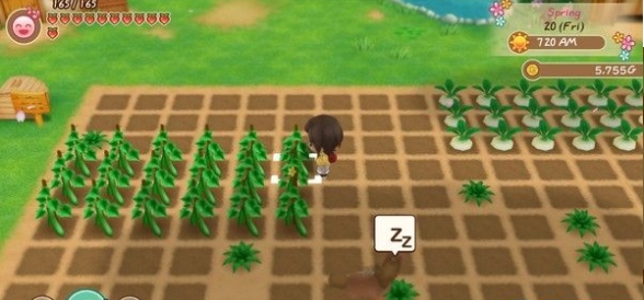 牧场物语重聚矿石镇破解版