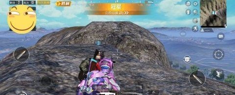 天才熊美化包吃鸡版