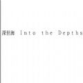 深世海官网版