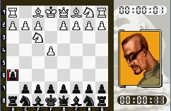 虚拟西洋棋手